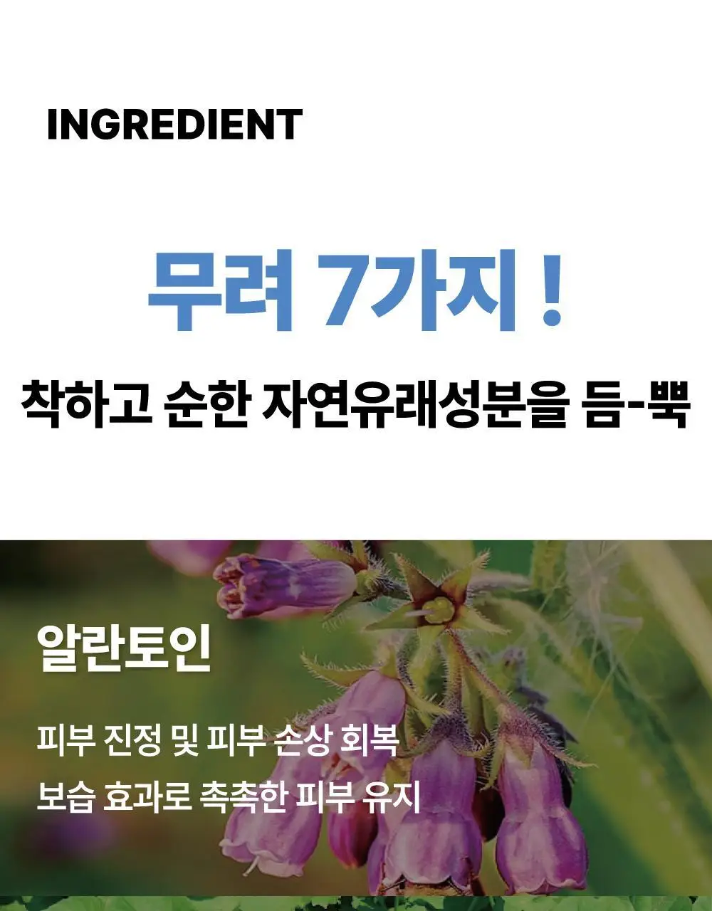 [500억유산균팩] 써니콘 마이크로바이옴 유산균 모델링팩 (7개입) 상세페이지 45